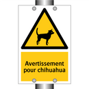 Avertissement pour chihuahua