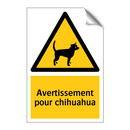 Avertissement pour chihuahua