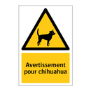 Avertissement pour chihuahua