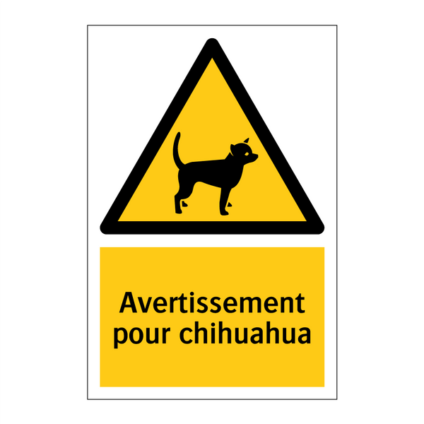 Avertissement pour chihuahua