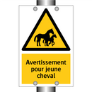 Avertissement pour jeune cheval