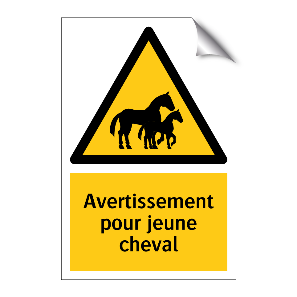 Avertissement pour jeune cheval