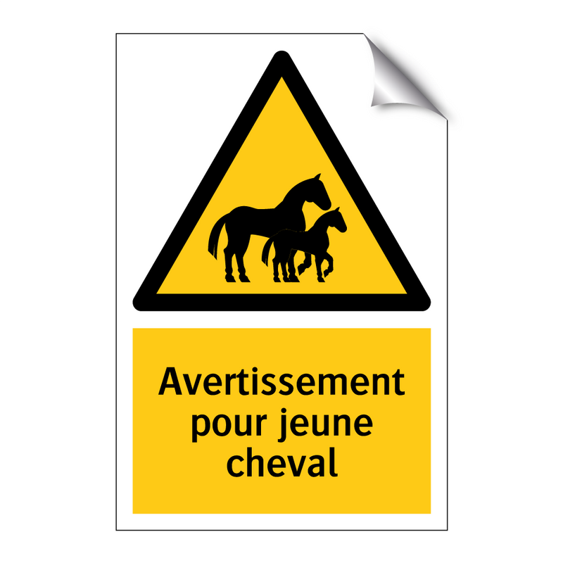 Avertissement pour jeune cheval