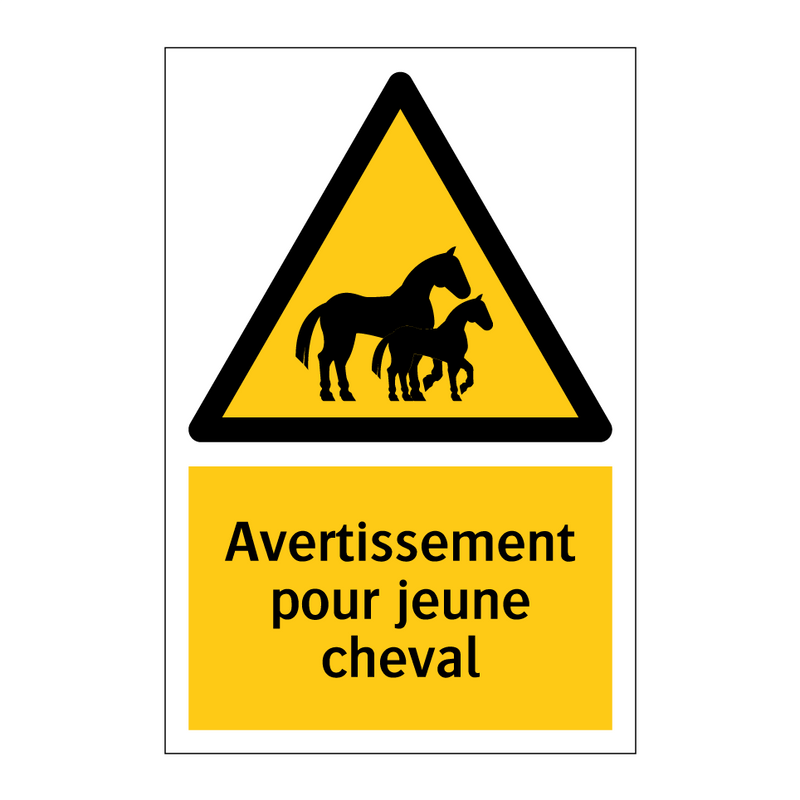 Avertissement pour jeune cheval
