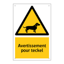 Avertissement pour teckel