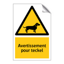 Avertissement pour teckel