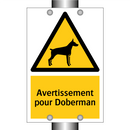 Avertissement pour Doberman