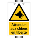 Attention aux chiens en liberté
