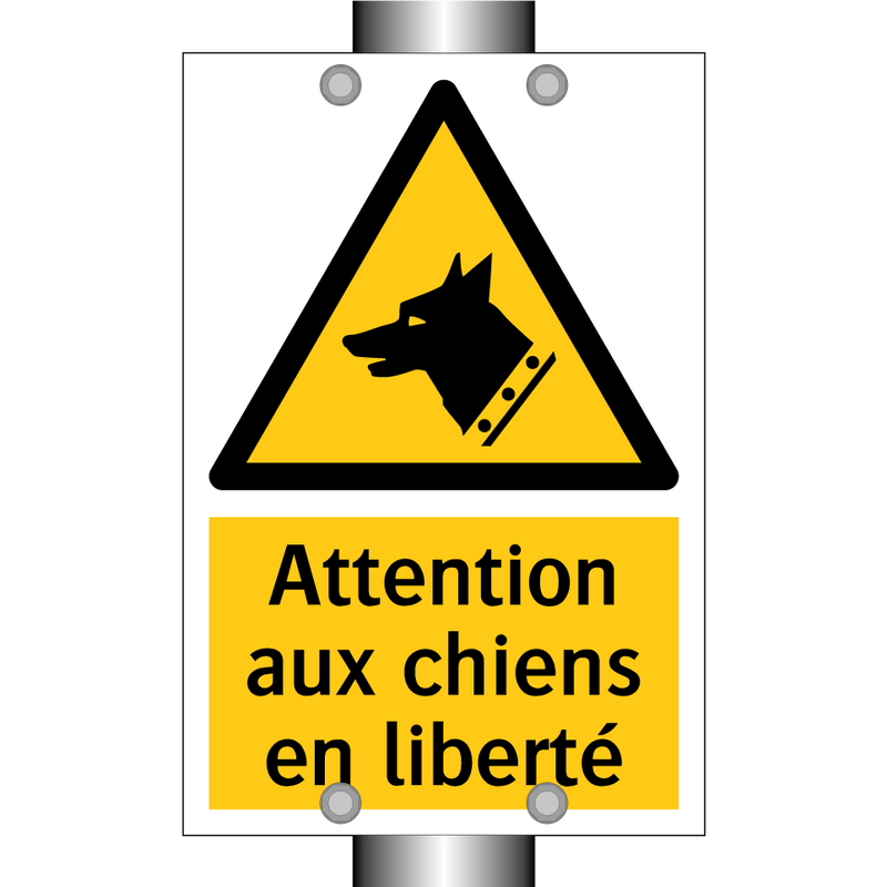 Attention aux chiens en liberté