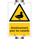 Avertissement pour les canards