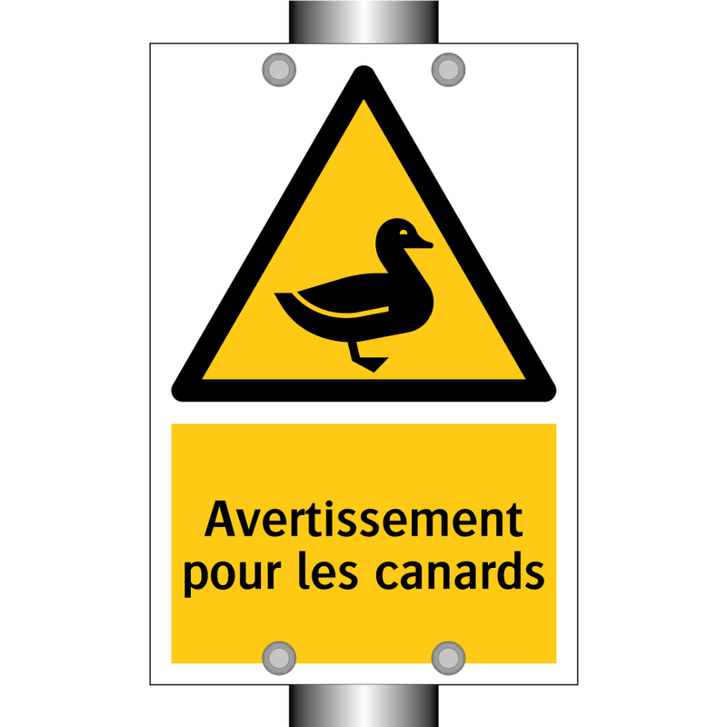 Avertissement pour les canards