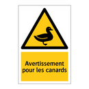 Avertissement pour les canards
