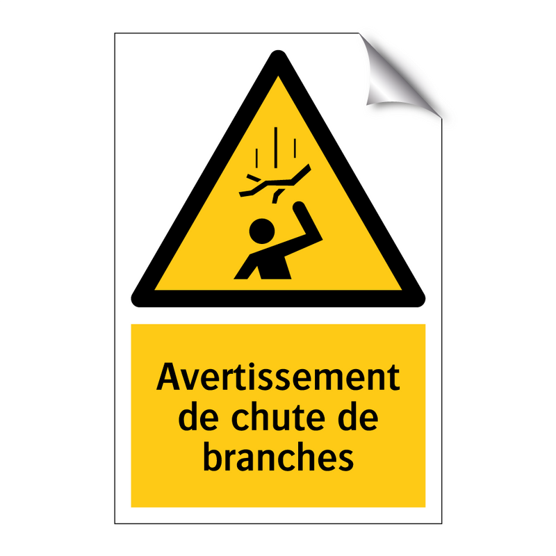 Avertissement de chute de branches