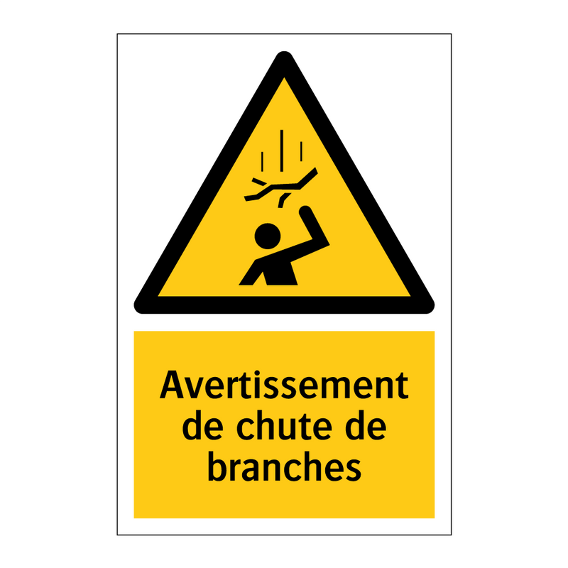 Avertissement de chute de branches