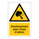 Avertissement pour chute d'arbres