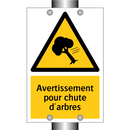 Avertissement pour chute d'arbres