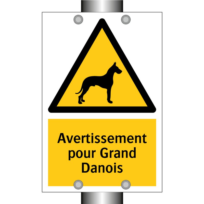 Avertissement pour Grand Danois