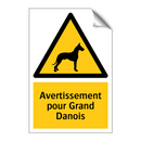 Avertissement pour Grand Danois