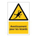 Avertissement pour les lézards