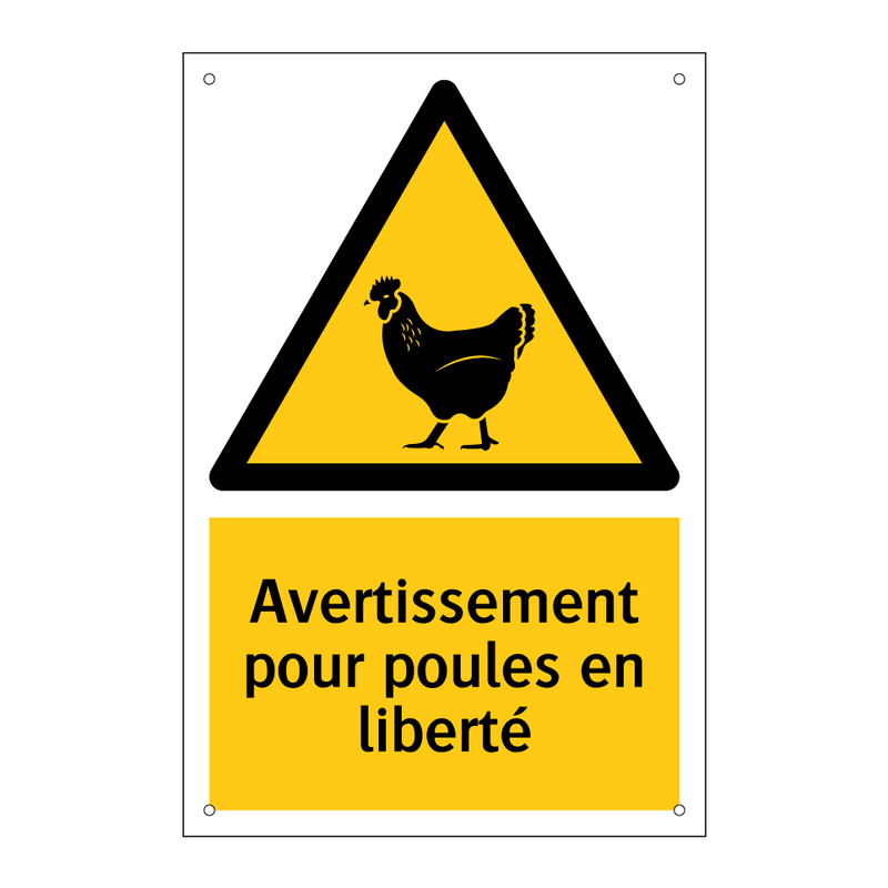 Avertissement pour poules en liberté