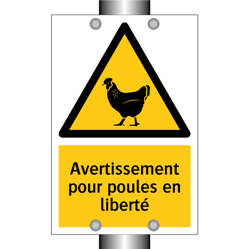 Avertissement pour poules en liberté