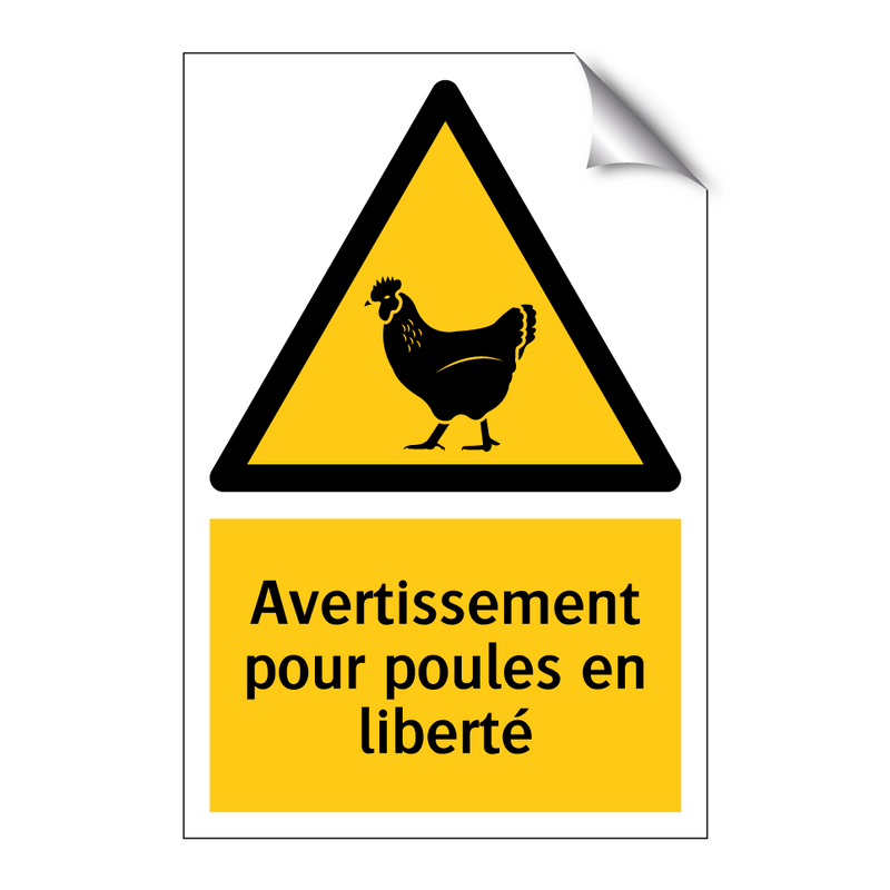 Avertissement pour poules en liberté