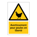 Avertissement pour poules en liberté