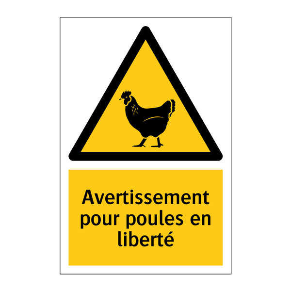 Avertissement pour poules en liberté