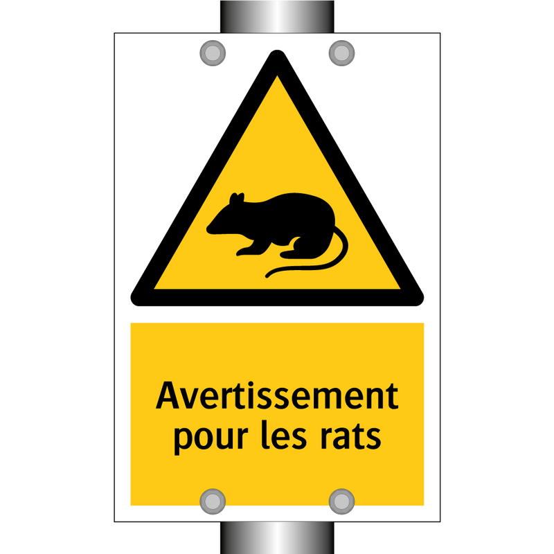 Avertissement pour les rats