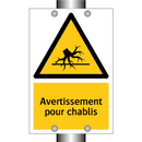 Avertissement pour chablis