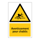 Avertissement pour chablis