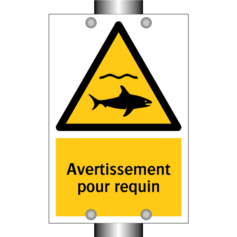 Avertissement pour requin