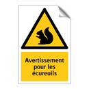 Avertissement pour les écureuils