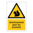 Avertissement pour les écureuils
