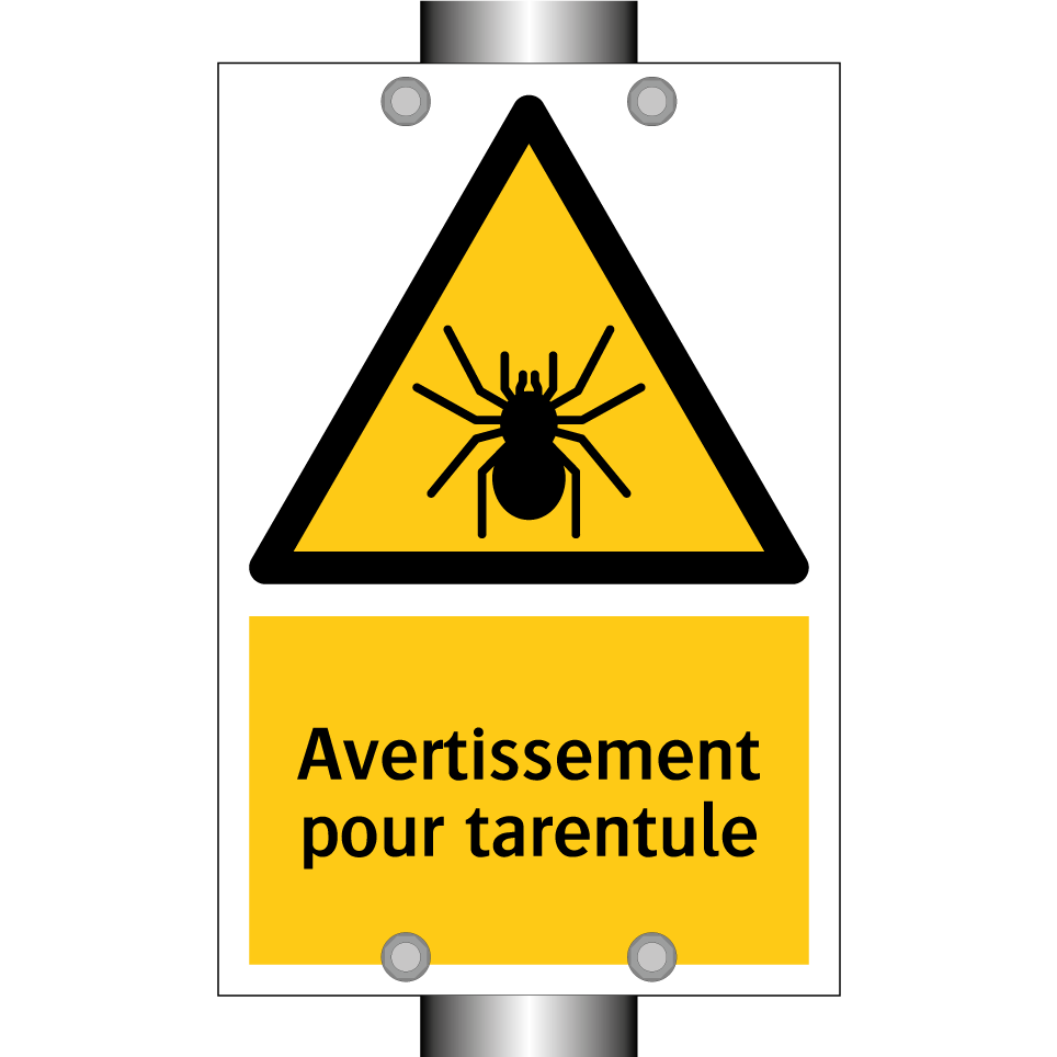 Avertissement pour tarentule