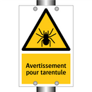 Avertissement pour tarentule
