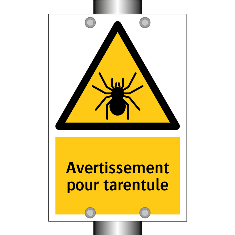 Avertissement pour tarentule