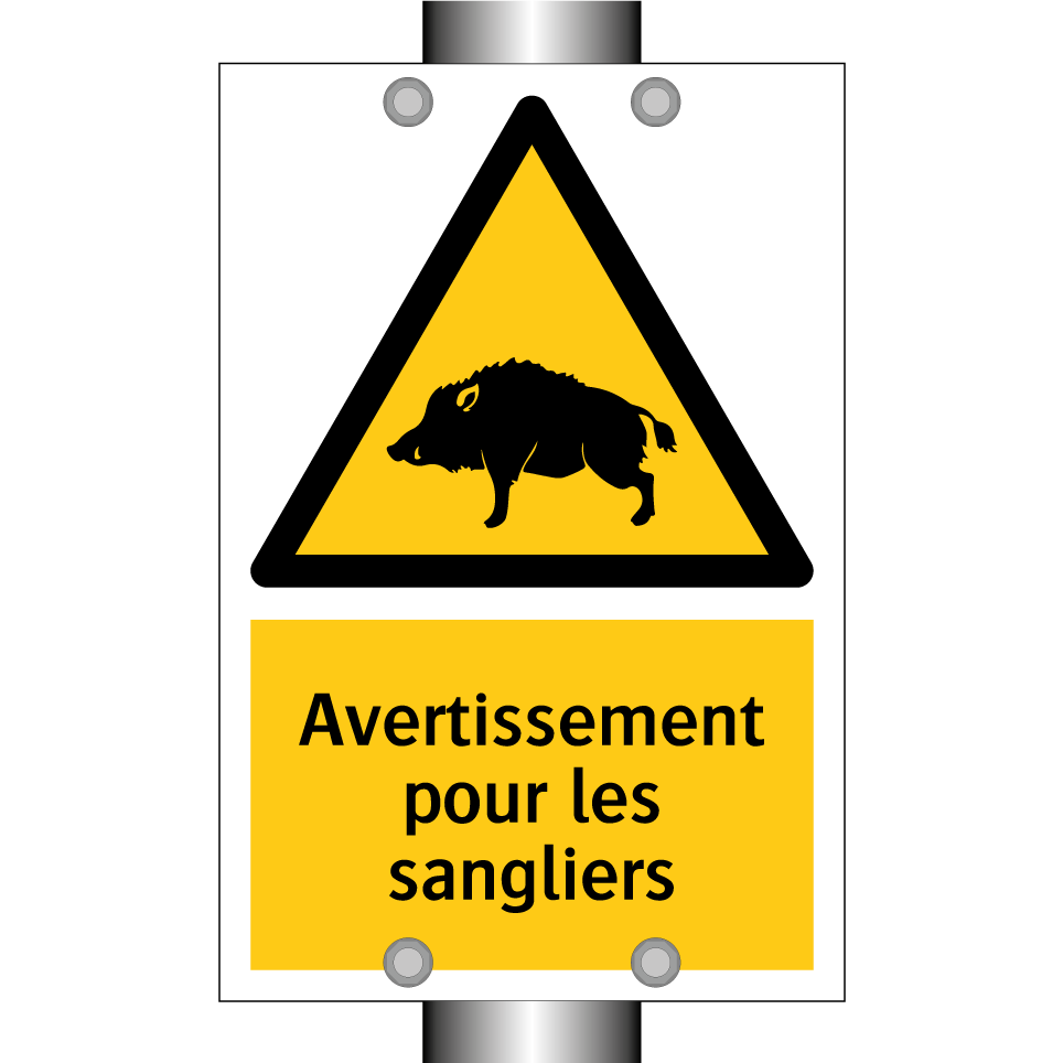 Avertissement pour les sangliers