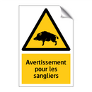Avertissement pour les sangliers