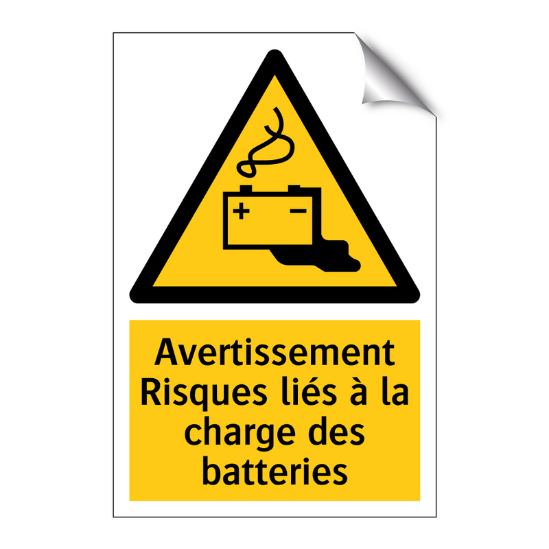 Avertissement Risques liés à la charge des batteries