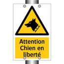 Attention Chien en liberté