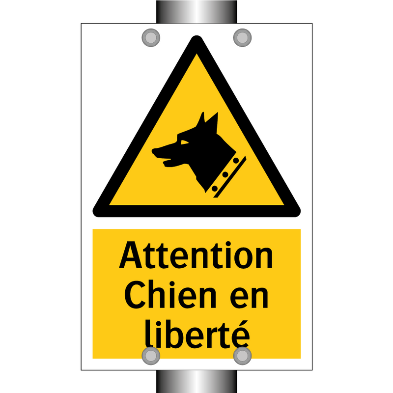 Attention Chien en liberté