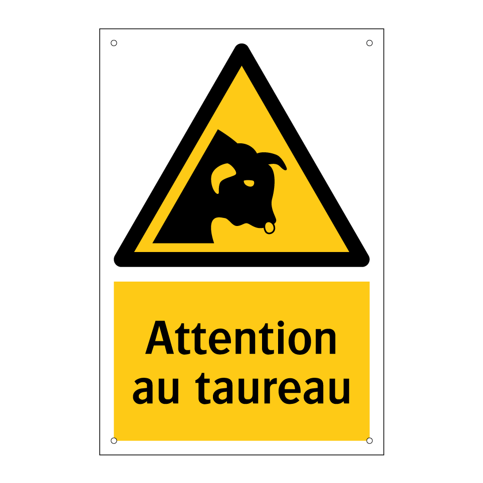 Attention au taureau