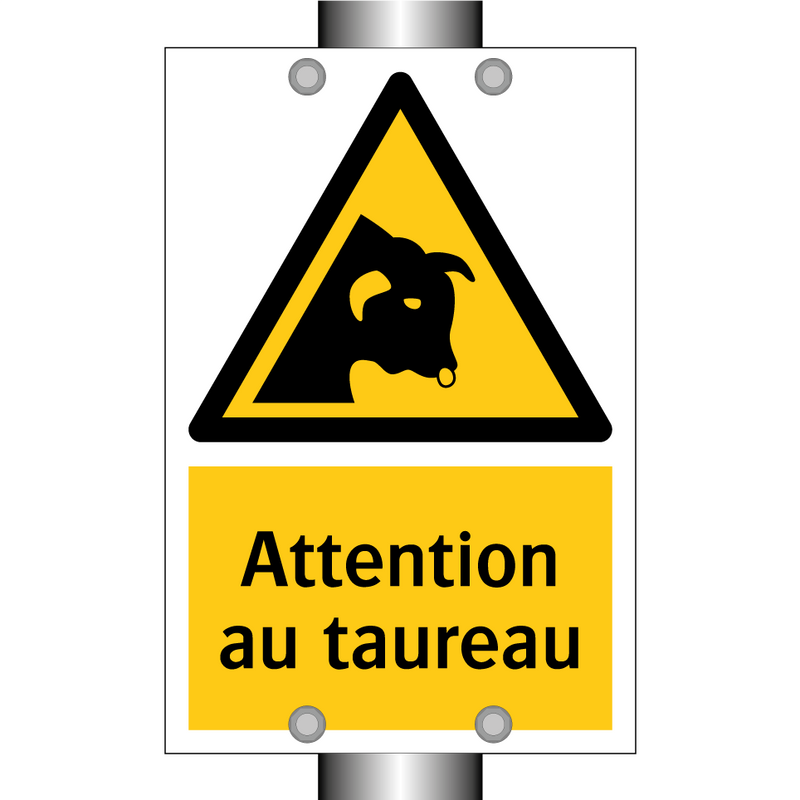 Attention au taureau