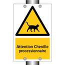 Attention Chenille processionnaire