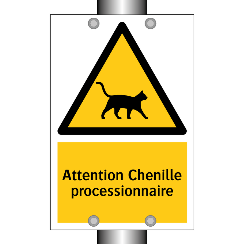 Attention Chenille processionnaire