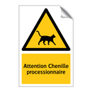 Attention Chenille processionnaire