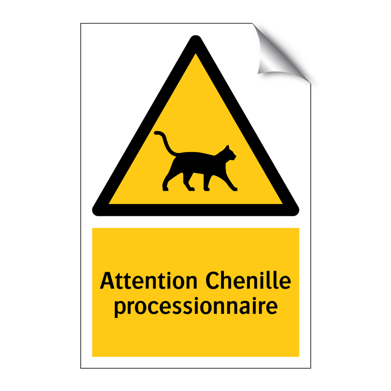 Attention Chenille processionnaire