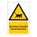 Attention Chenille processionnaire