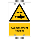 Avertissement Requins